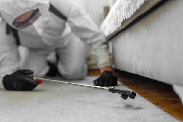 Professional Termite Control technician working in Rye Brook, NY