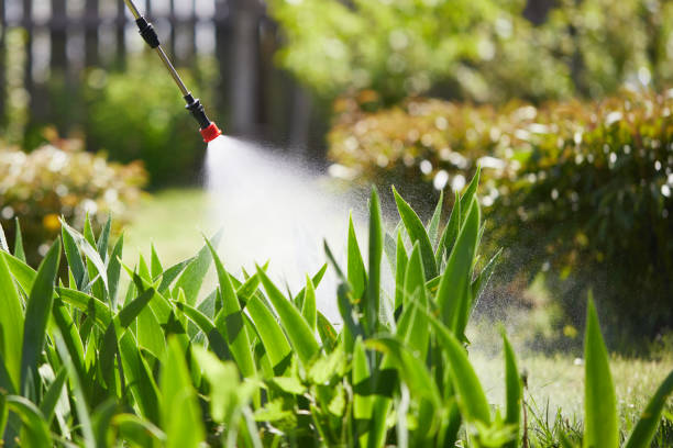 24/7 Emergency Termite Control experts in Rye Brook, NY