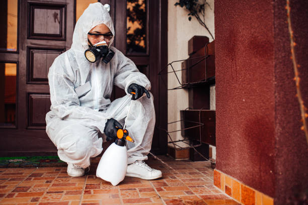Reliable Termite Control contractor in Rye Brook, NY by Nex Pest Control
